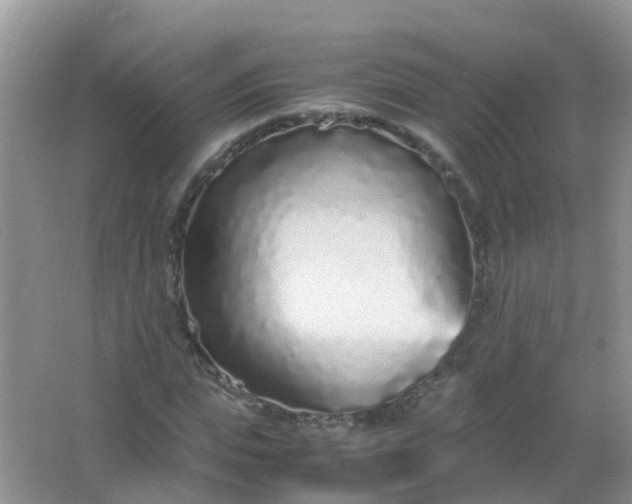 X0000066940823200604071910