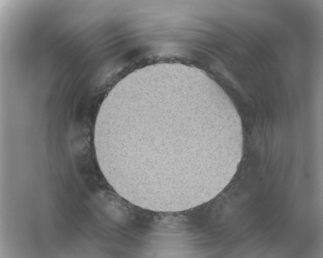 X0000066940824200604071910