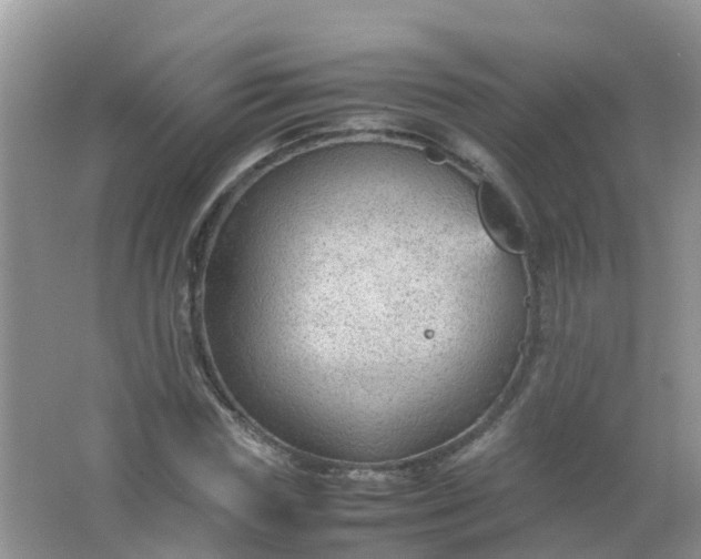 X0000066940827200604071910