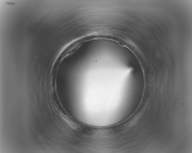 X0000066940830200604071910