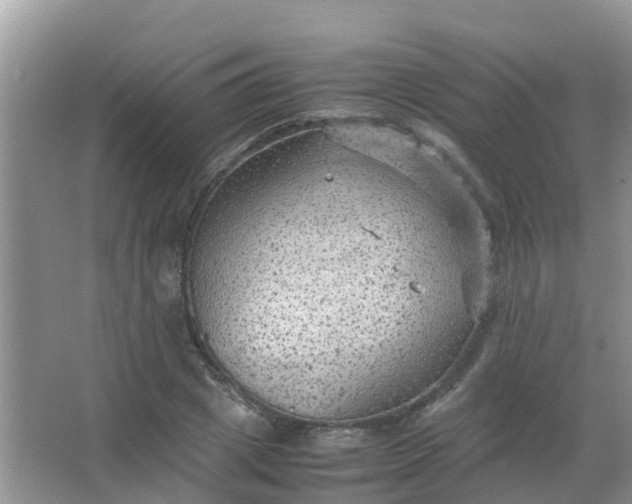 X0000066940833200604071910