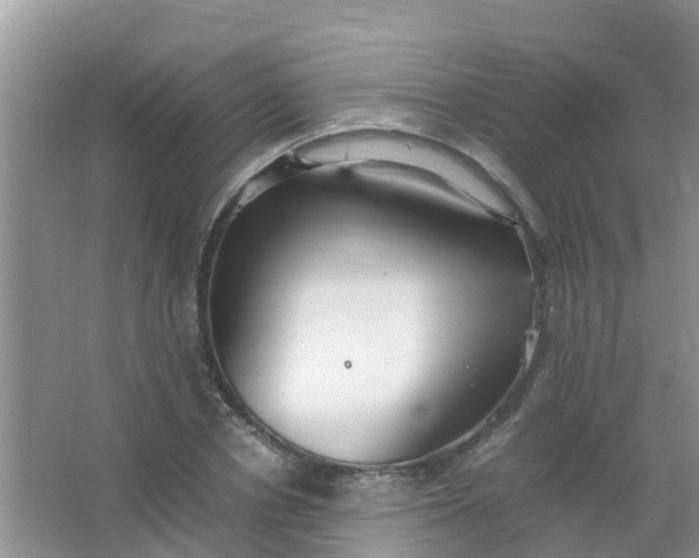 X0000066940834200604071910