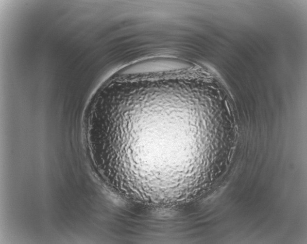 X0000066940835200604071910