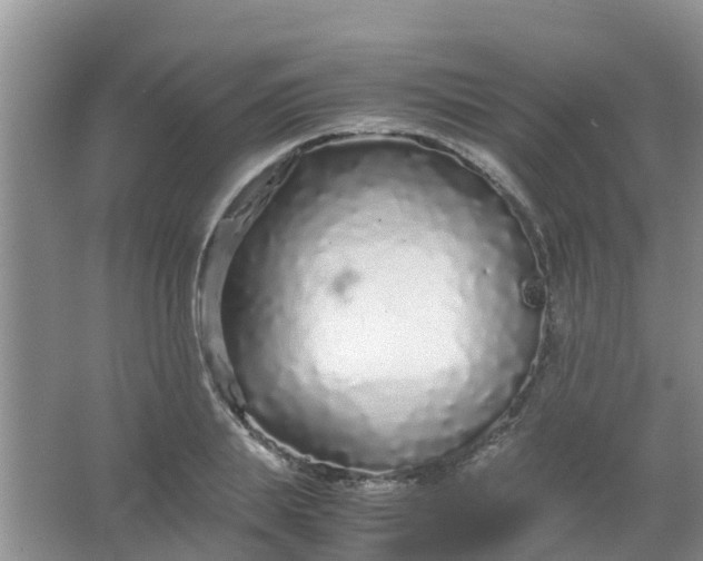 X0000066940839200604071910