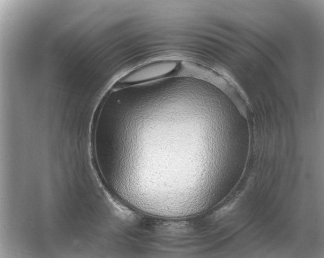 X0000066940845200604071910