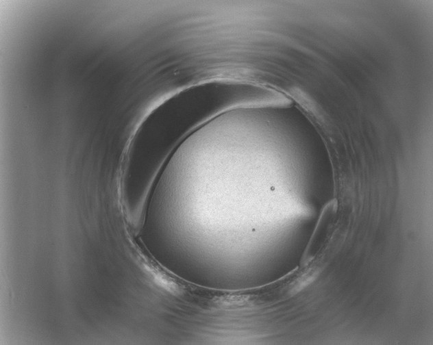 X0000066940846200604071910