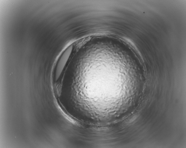 X0000066940851200604071910