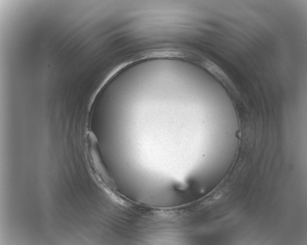 X0000066940852200604071910