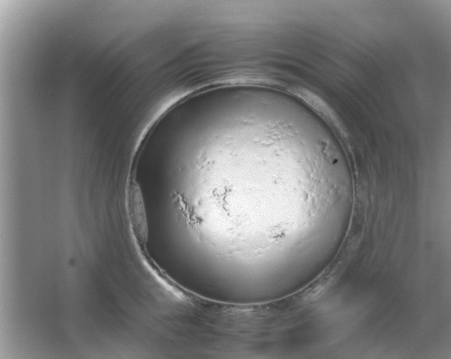 X0000066940855200604071910