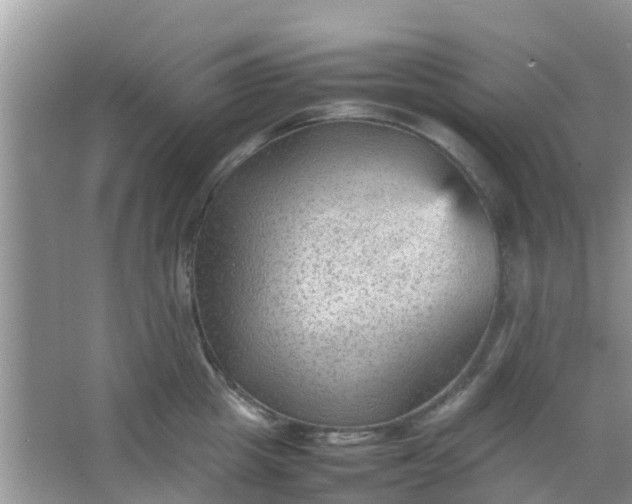 X0000066940857200604071910