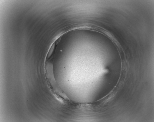 X0000066940858200604071910