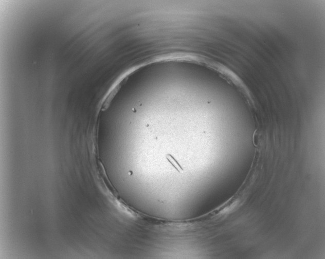 X0000066940860200604071910