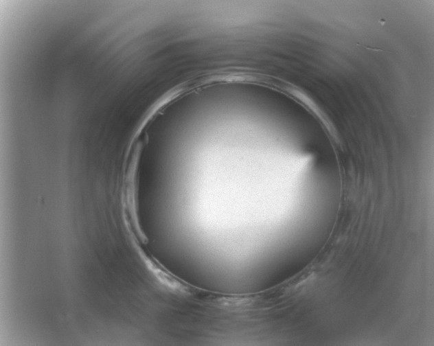 X0000066940861200604071910