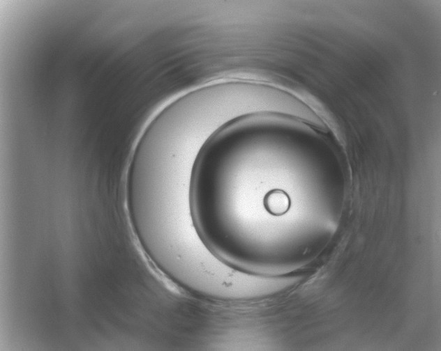 X0000066940862200604071910