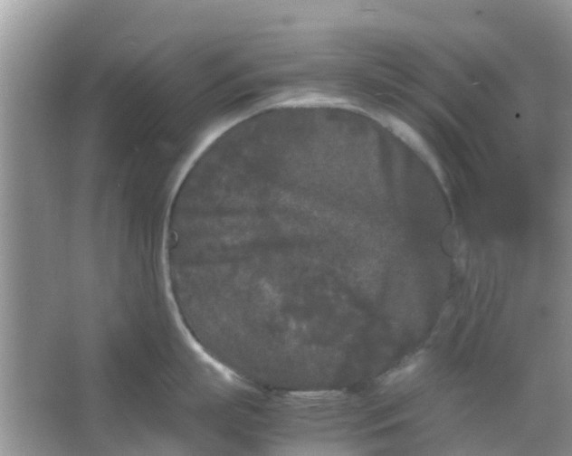 X0000066940863200604071910