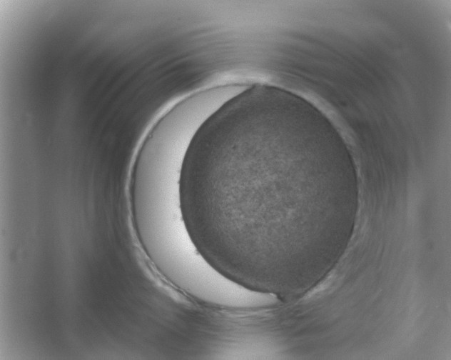 X0000066940864200604071910