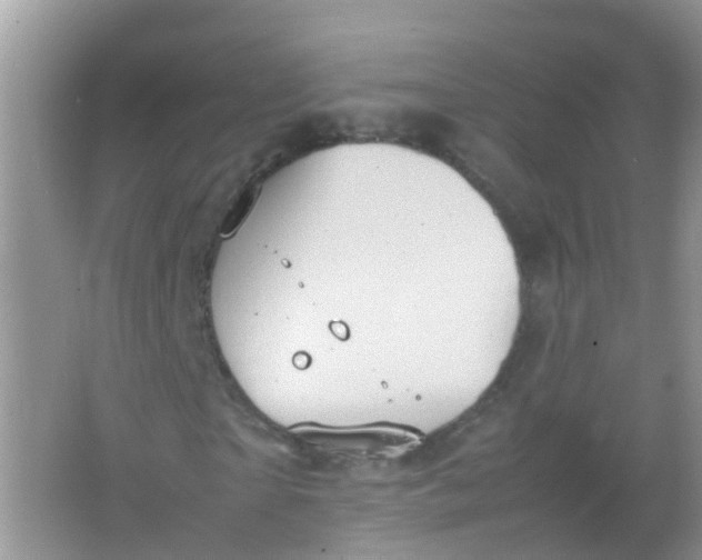 X0000066940865200604071910