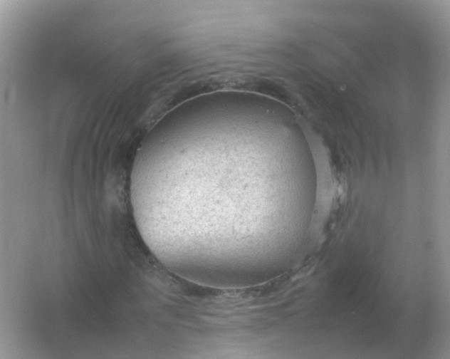 X0000066940867200604071910