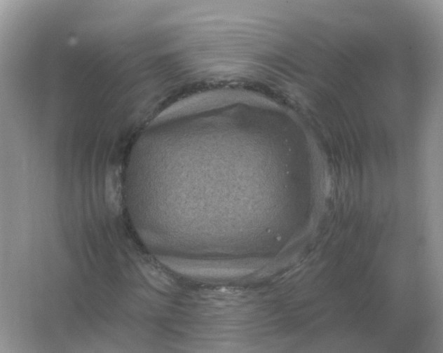 X0000066940868200604071910