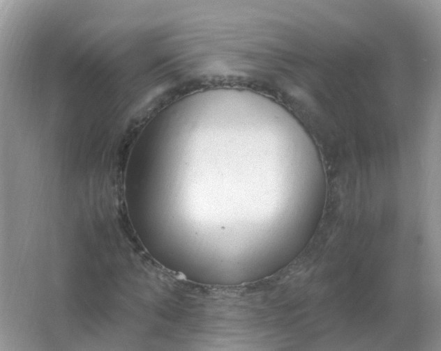 X0000066940870200604071910