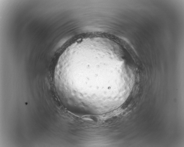 X0000066940871200604071910