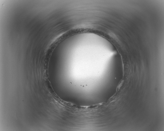 X0000066940872200604071910