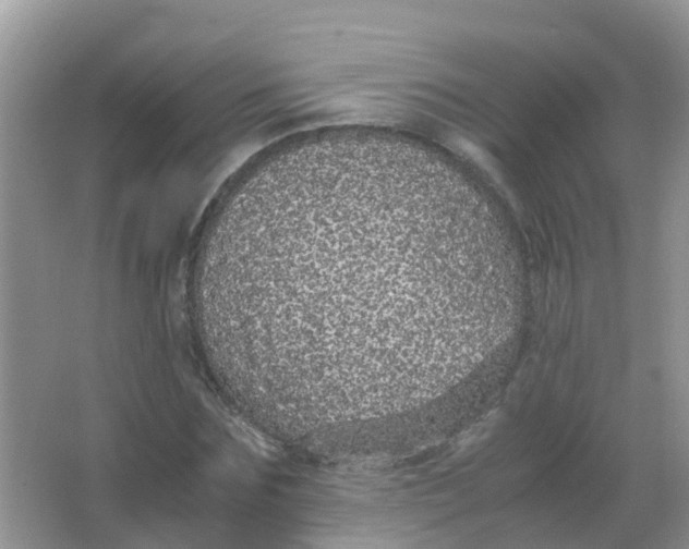 X0000066940875200604071909