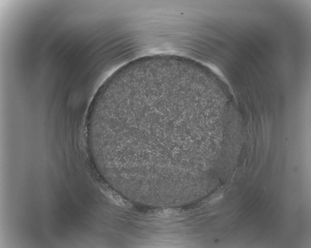 X0000066940879200604071909