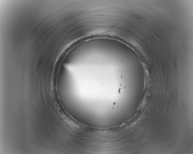 X0000066940880200604071909