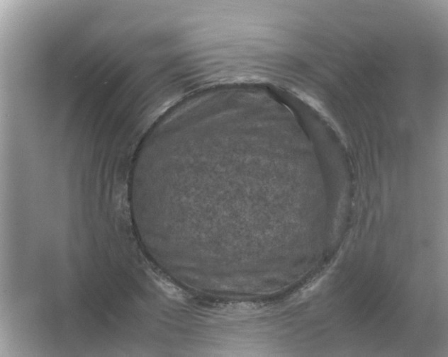 X0000066940881200604071909