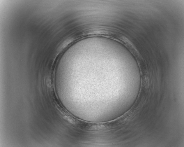 X0000066940882200604071909