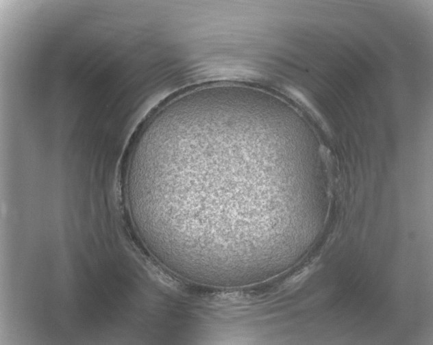 X0000066940883200604071909