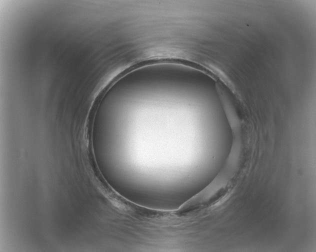 X0000066940885200604071909