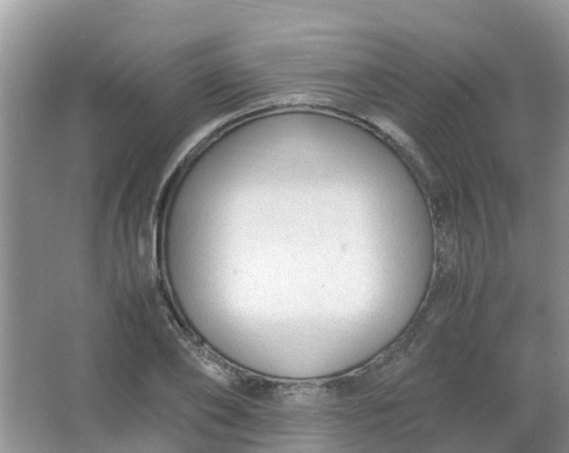 X0000066940886200604071909