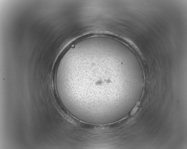 X0000066940887200604071909