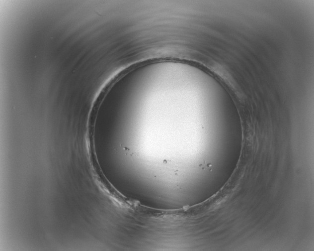 X0000066940888200604071909