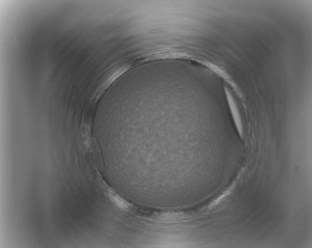 X0000066940889200604071909