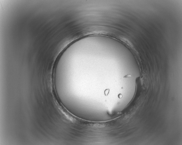 X0000066940890200604071909