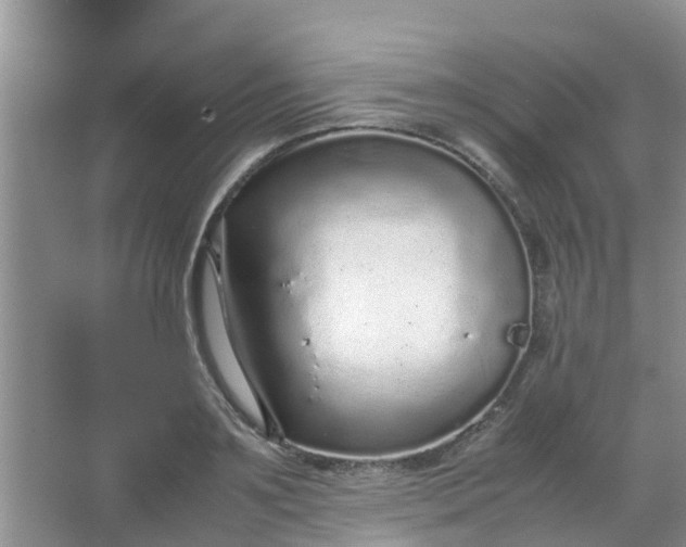 X0000066940891200604071909