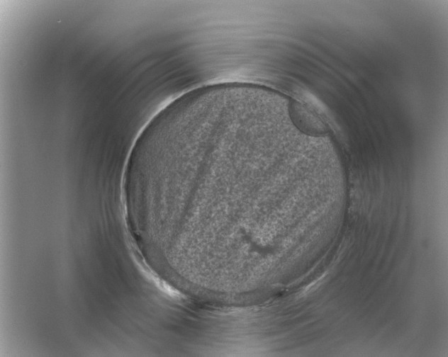 X0000066940892200604071909