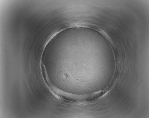 X0000066940893200604071909