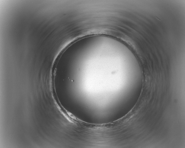 X0000066940894200604071909