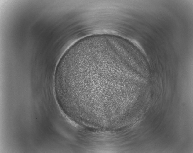 X0000066940895200604071909