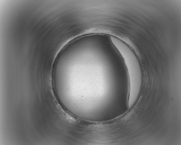 X0000066940896200604071909