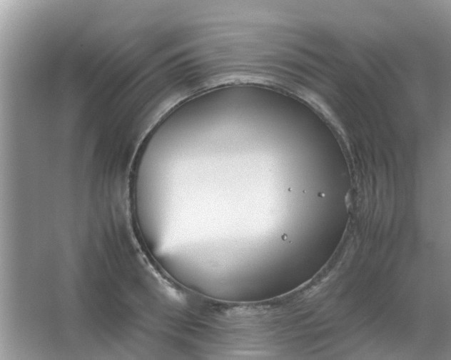 X0000066940898200604071909