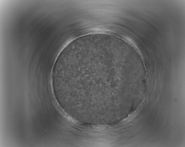 X0000066940899200604071909