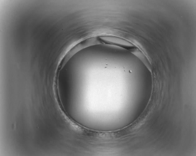 X0000066940901200604071909