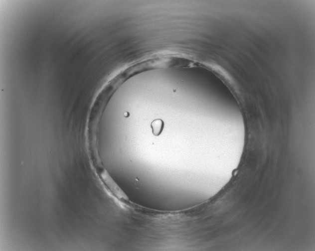 X0000066940902200604071909