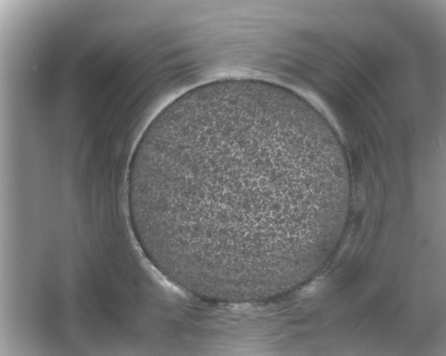 X0000066940903200604071909