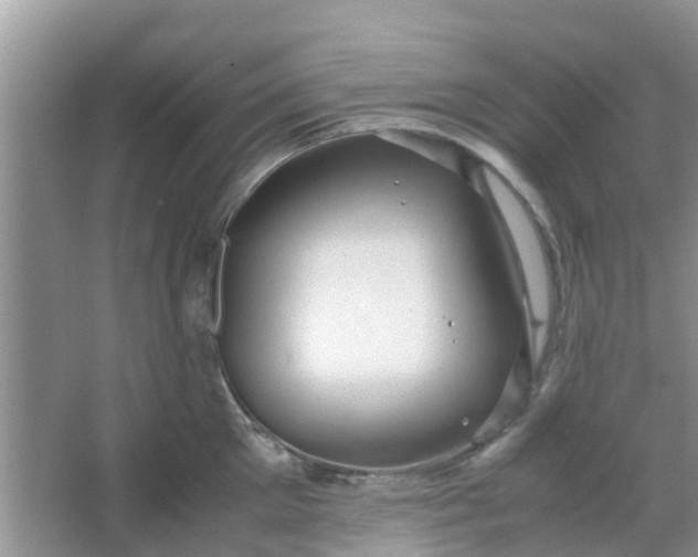 X0000066940905200604071909